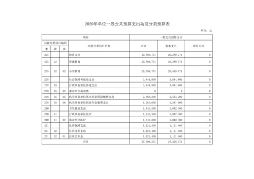 上海市徐汇区教育学院附属实验小学2020年度单位预算(2)_11.jpg